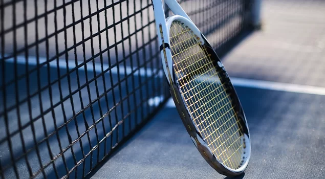 intersport brian&ccedil;on cordage raquette