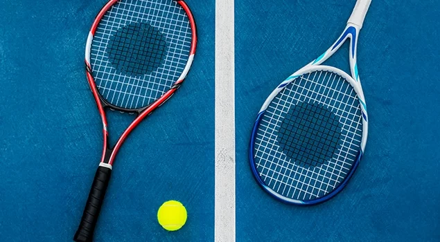 intersport brian&ccedil;on cordage raquette