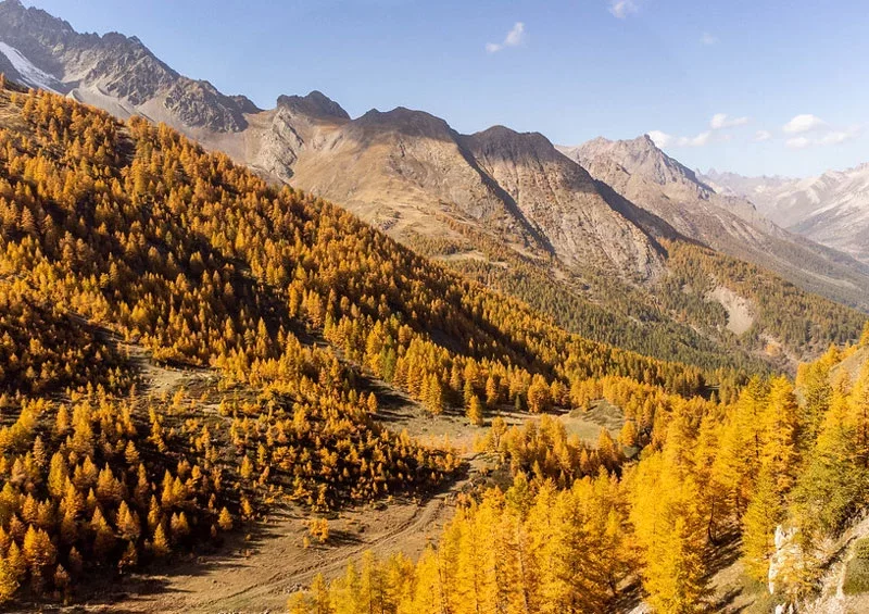 trail brian&ccedil;on